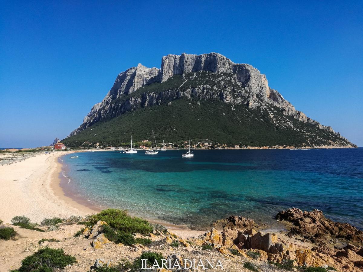 Residence Edilmare San Teodoro Εξωτερικό φωτογραφία
